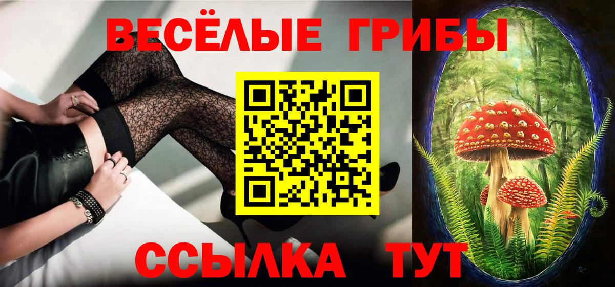 Галлюциногенные грибы Жигулёвск
