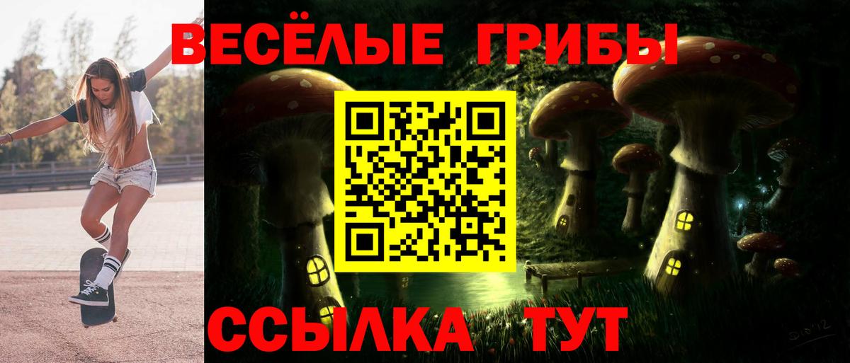 Жигулёвск  Псилоцибиновые грибы GOLDEN TEACHER  Псилоцибиновые грибы Psilocybine cubensis  Вход с VPN 
